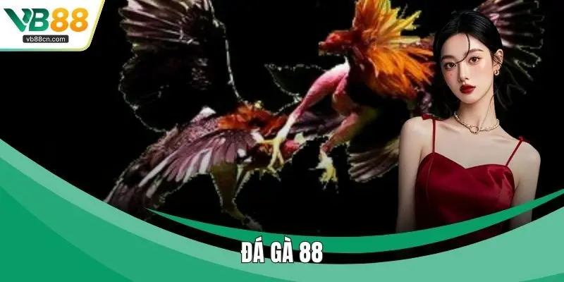 Đá Gà 88 – Sân Chơi Đấu Gà Đỉnh Cao Dành Cho Người Mê
